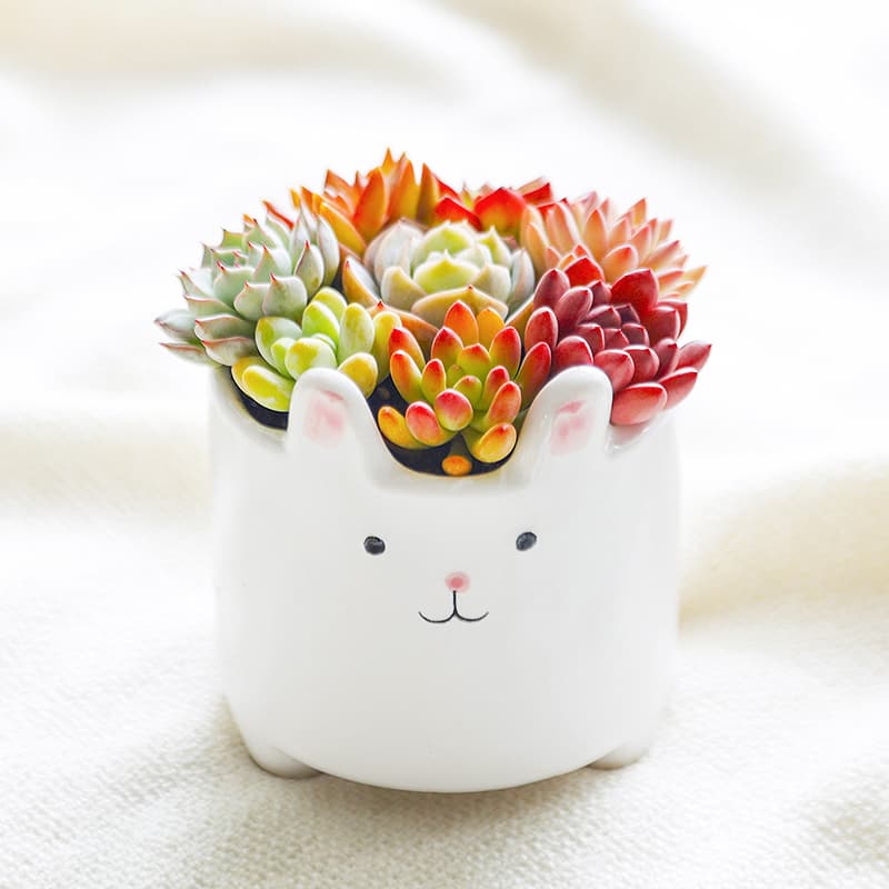 インテリア雑貨 うさぎのお花畑